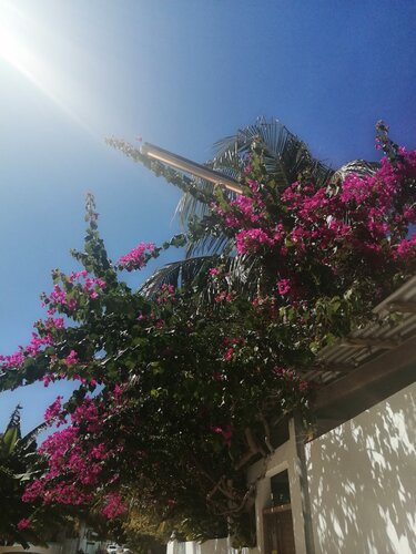 Гостиница La Due Thulusdhoo