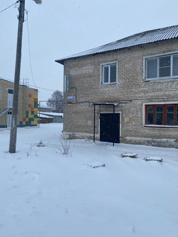 Фото Базилик