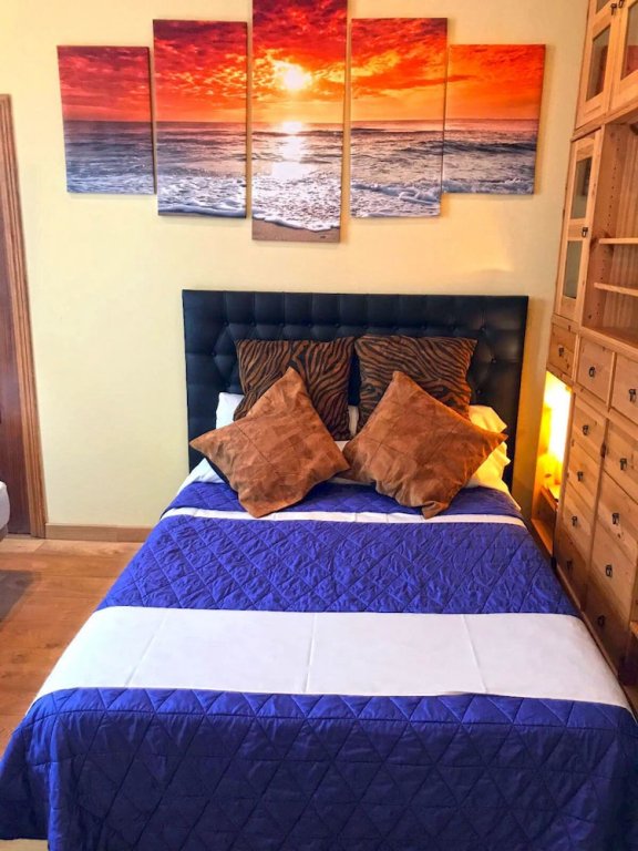 Фото Sol Carlos V Apartaments & Suites