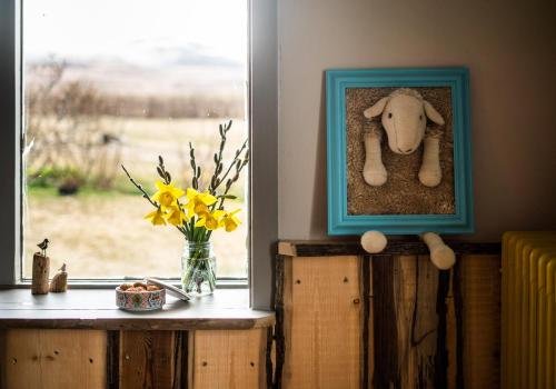 Фото Ytra Lón Farm Lodge