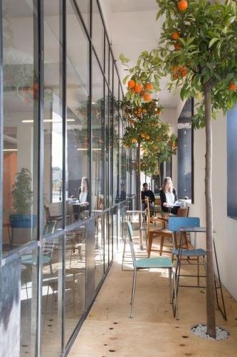 Фото Bed and Boarding - Hostel