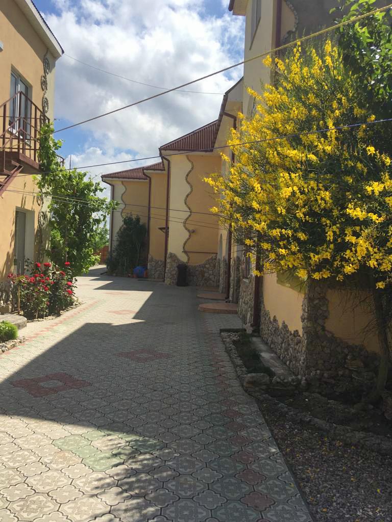 Фото Роза ветров