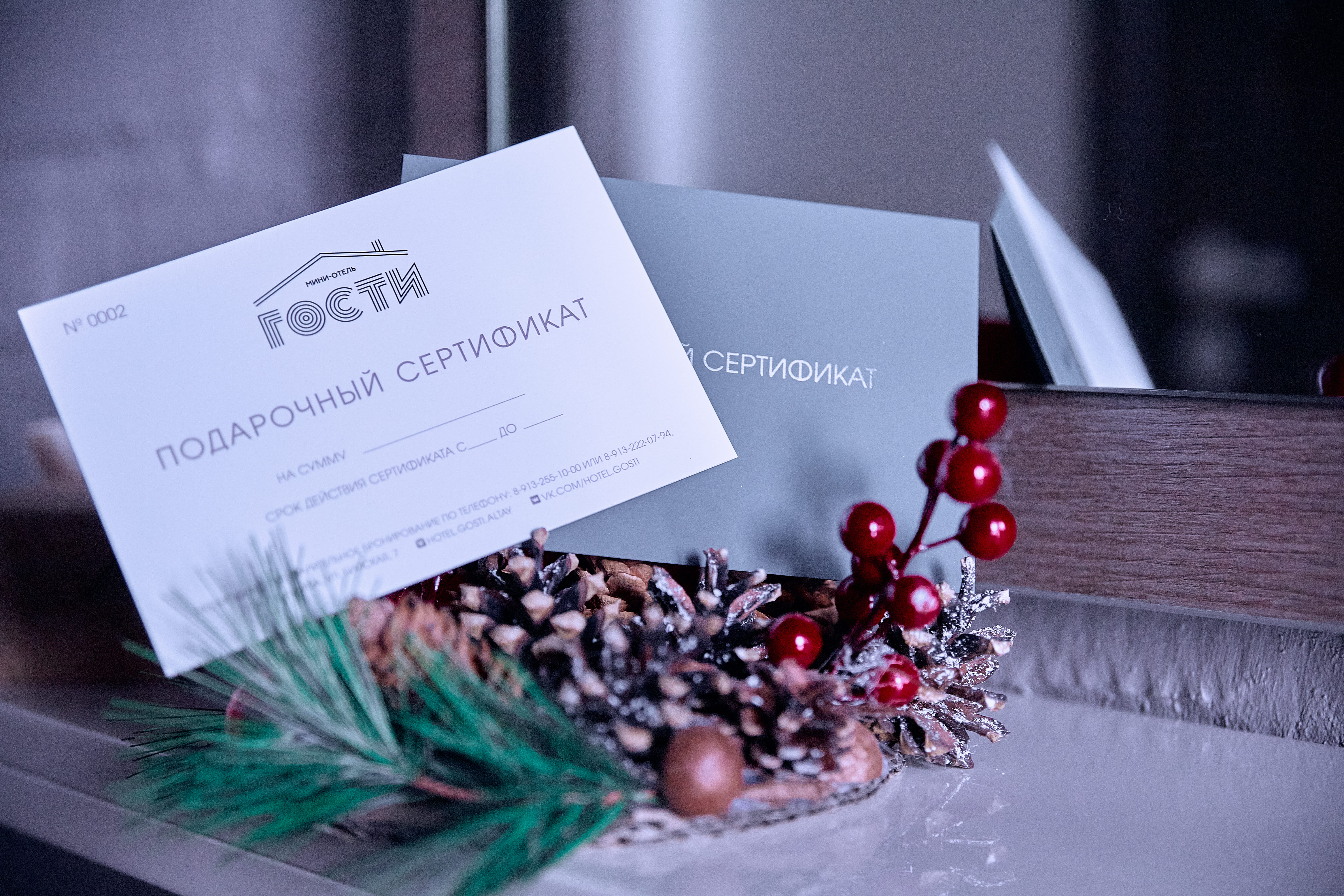 Фото Мини-отель Гости