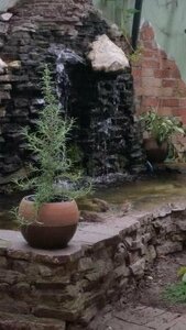 Гостиница Apartments And Rooms Vienna