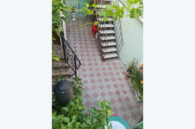 Фото Белая акация