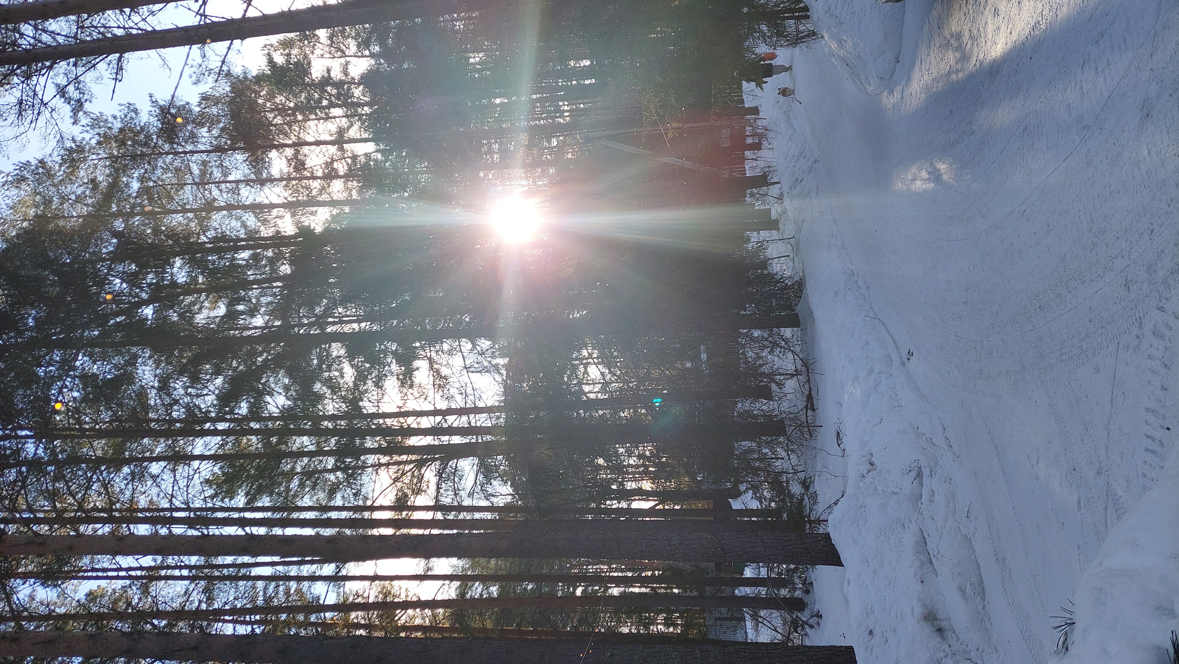 Фото Seliger Wind