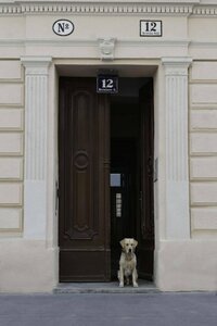Апартаменты Old Vienna Apartments