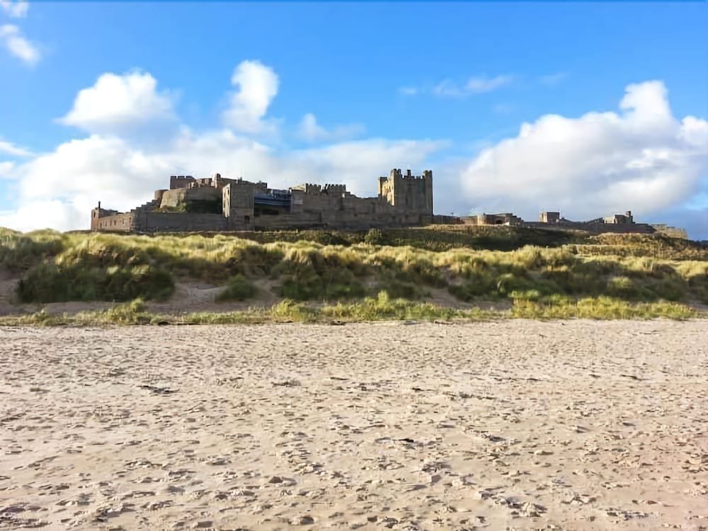 Фото Robin House