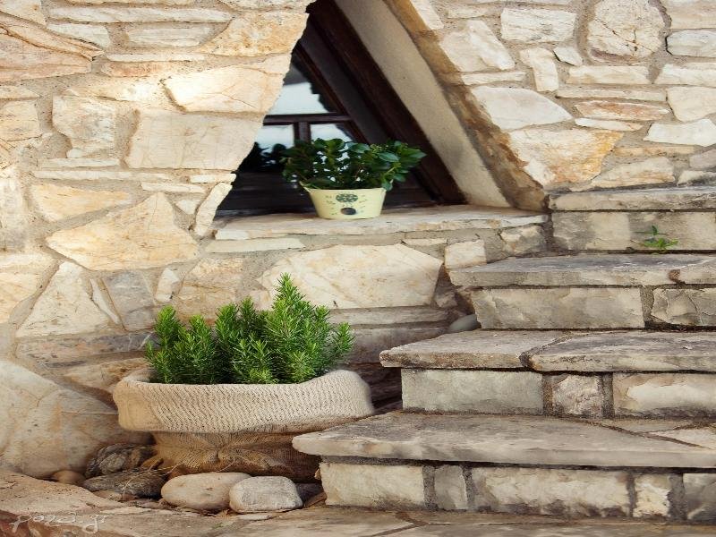 Фото Grekis hotel & Apartments