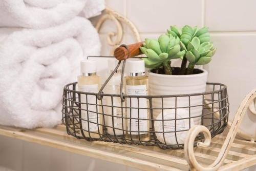 Фото The Curious Pig in the Parlour