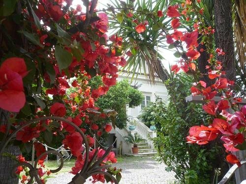 Гостиница Palais La Nasse Sanremo Atelier Rooms в Сан-Ремо