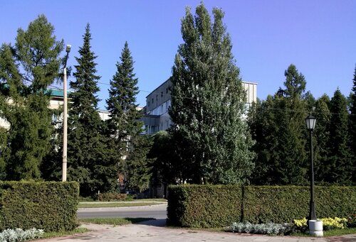 Photo: The Institute Of Cytology And Genetics The Siberian Branch of ...