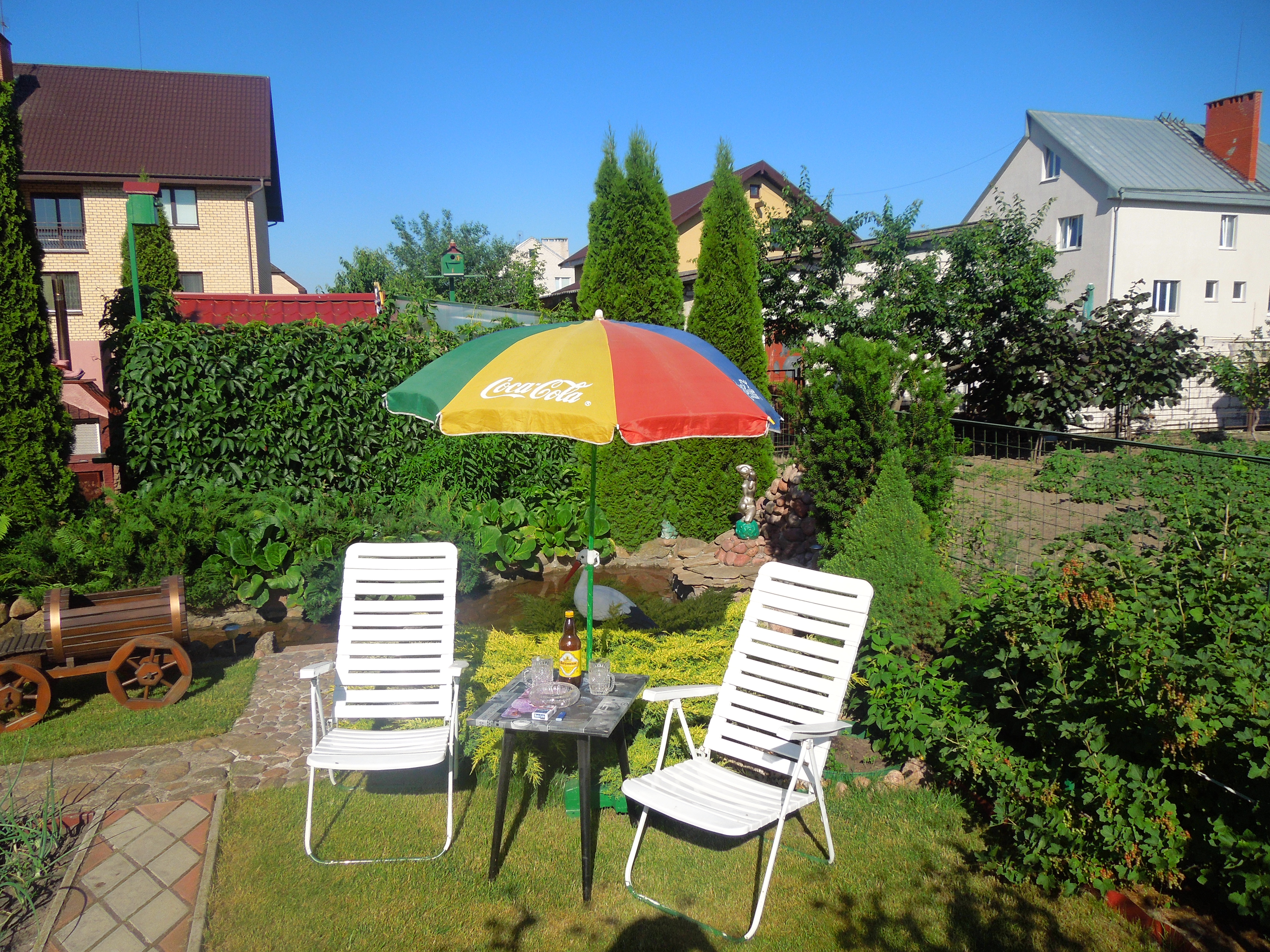 Фото Звезда