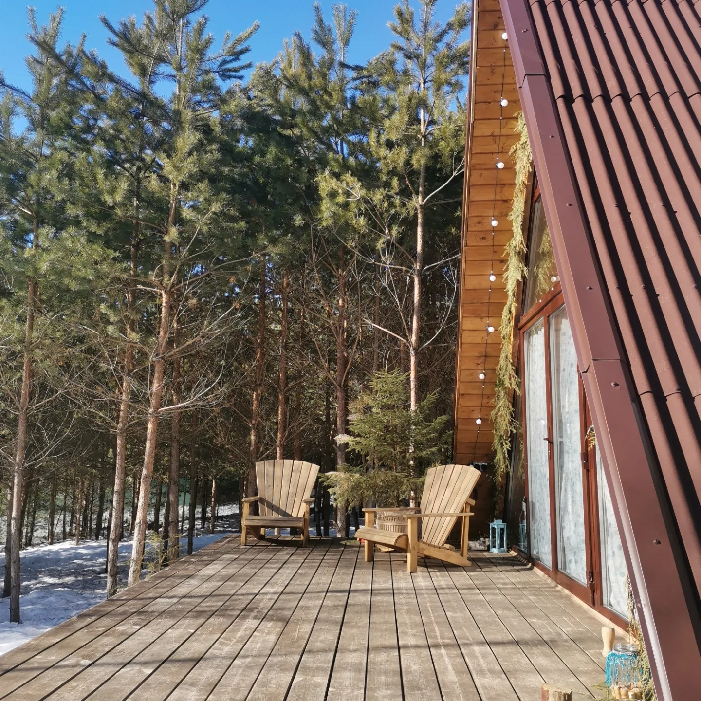 Фото О, Дни в Лесу