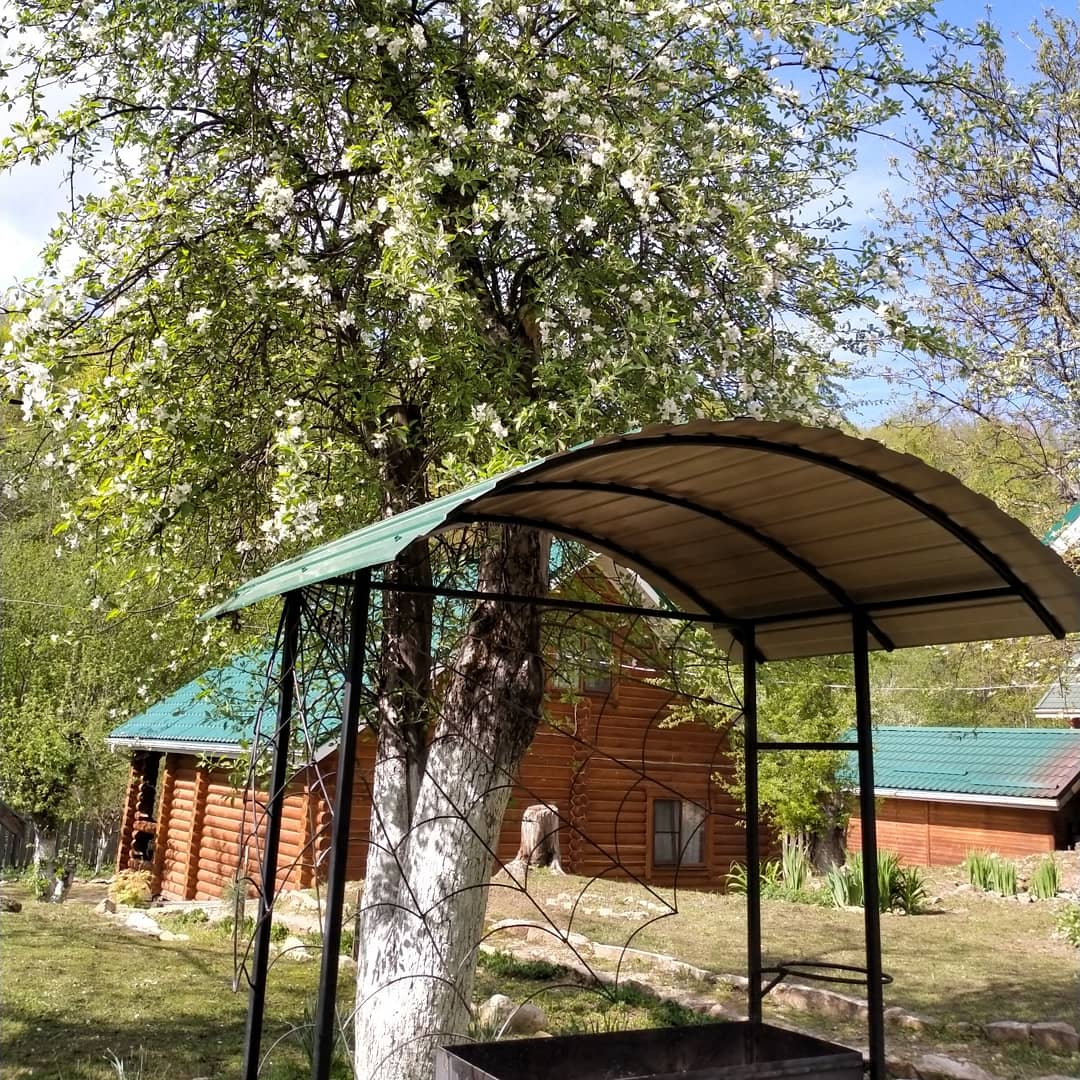 Фото Лесной