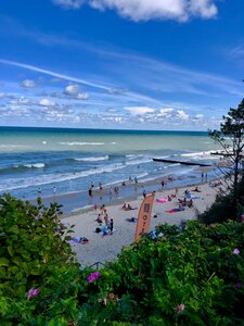 отель Орхид Апартментс Зеленоградск