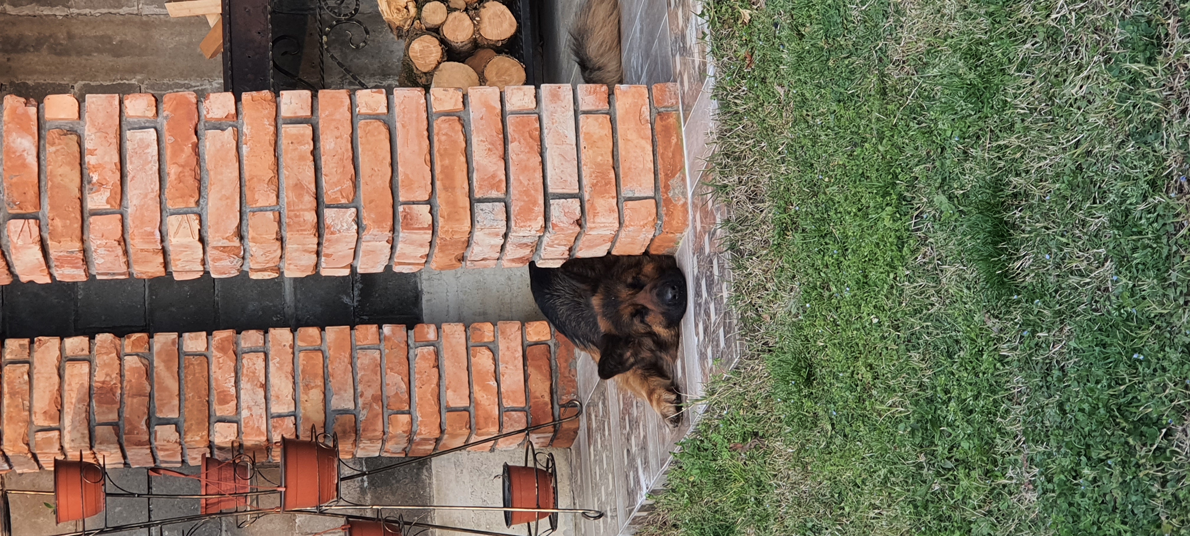 Фото Абазгия