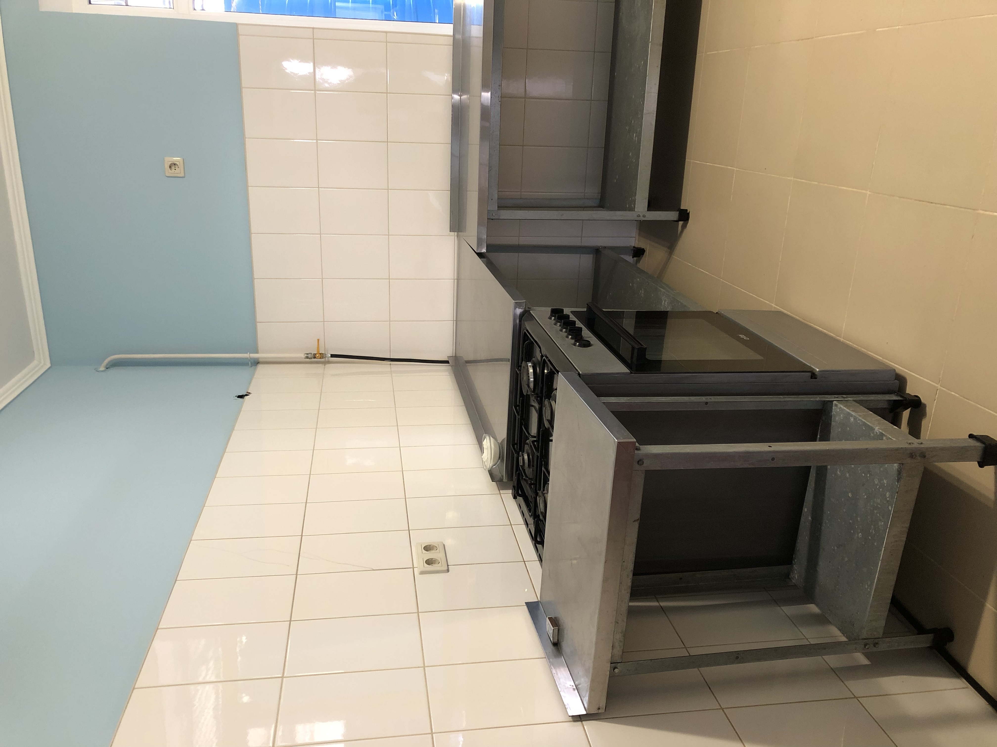 Фото Мангостин