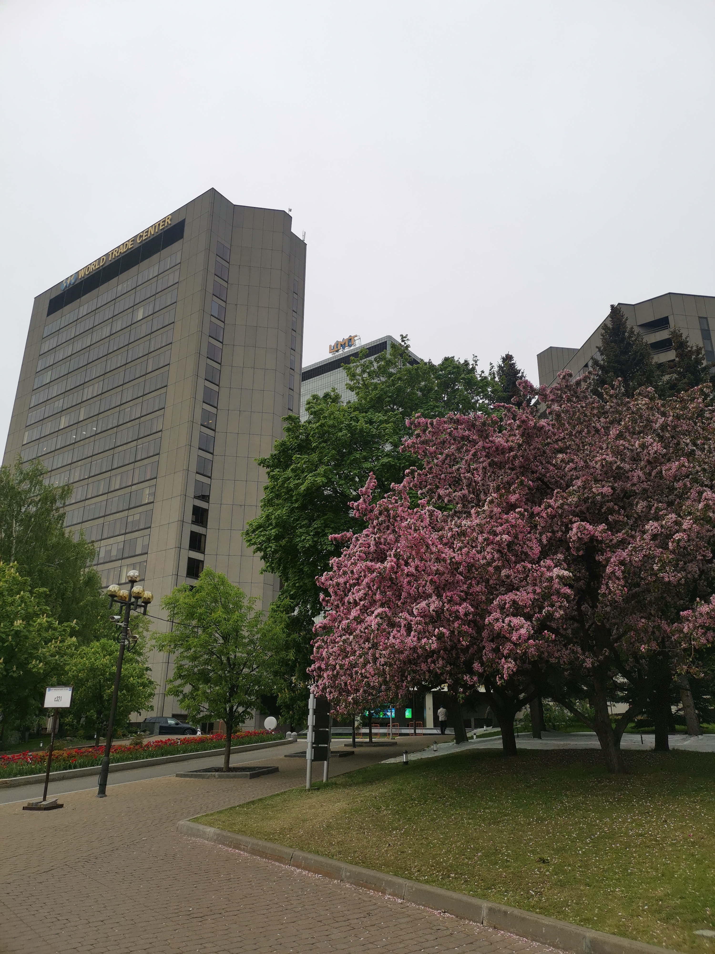 Фото Международная