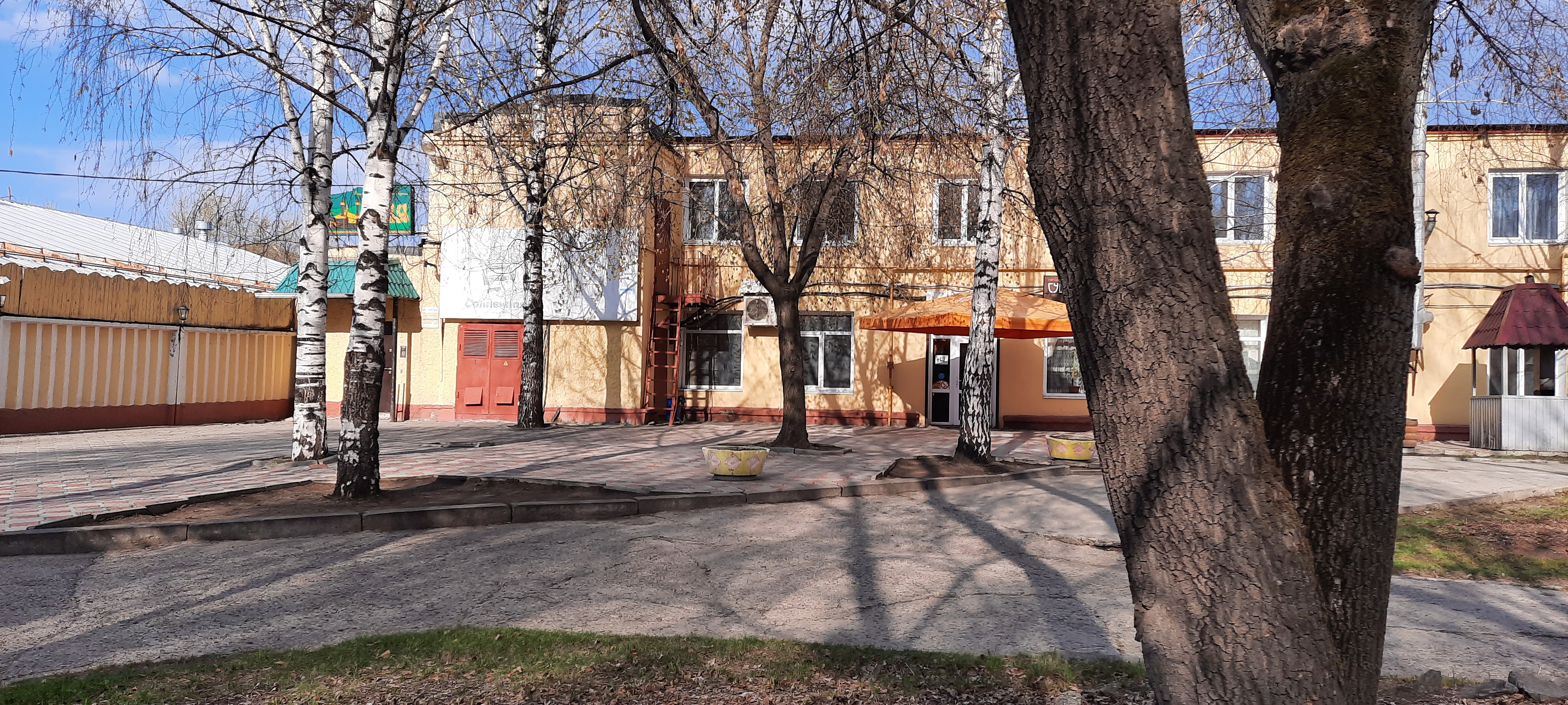 Фото Солнечный