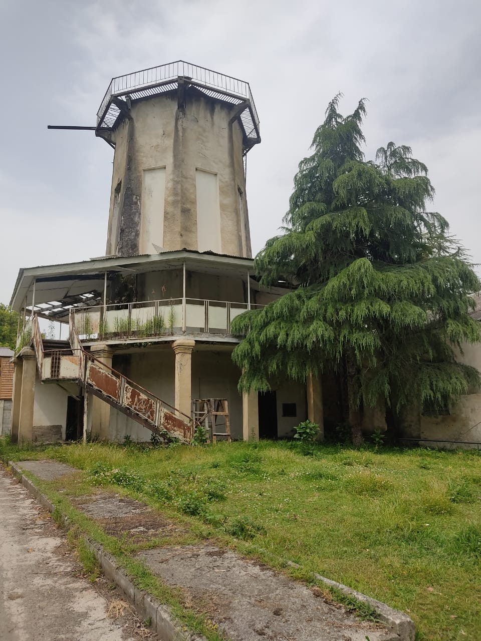 Фото Цитрус 1