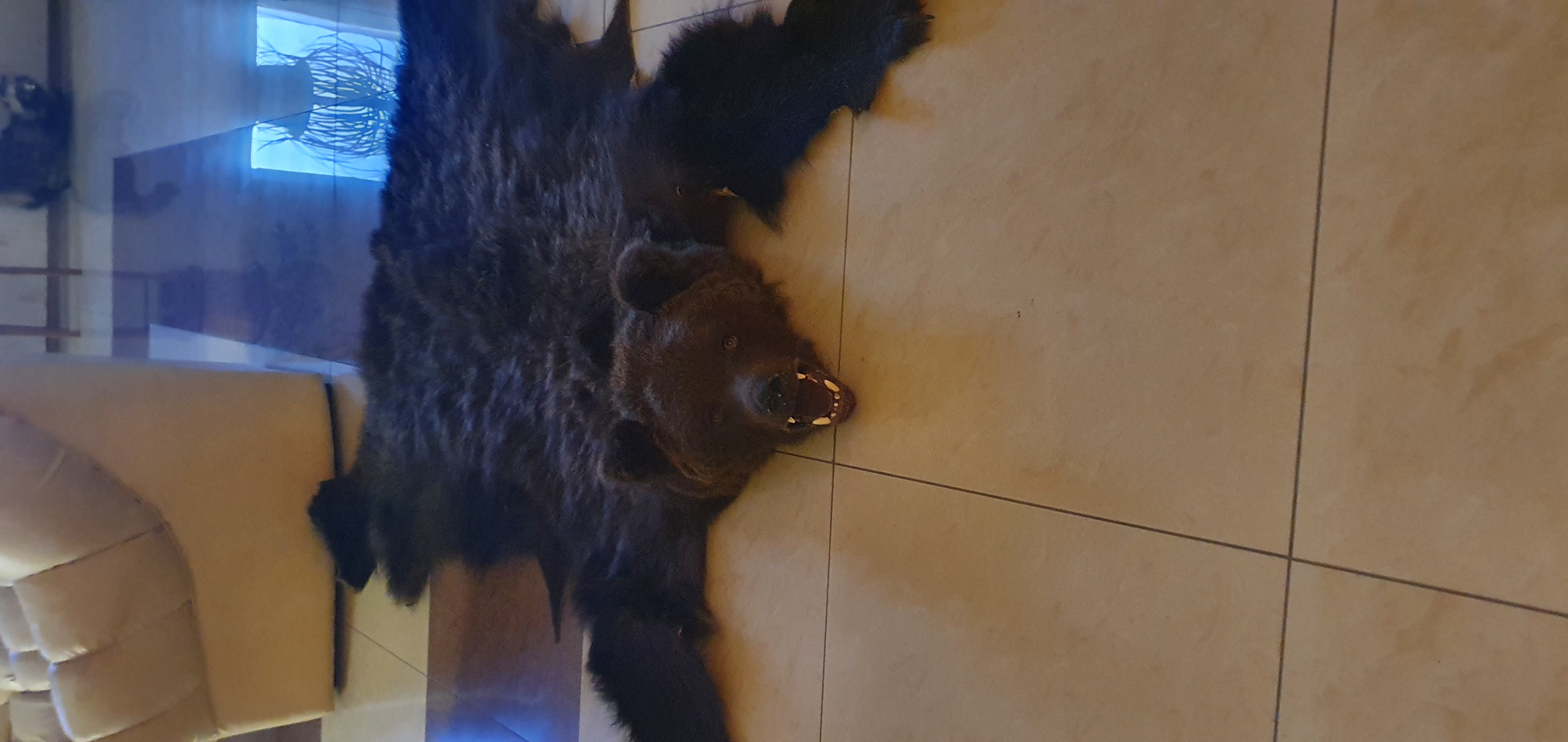 Фото Гостиница Тура