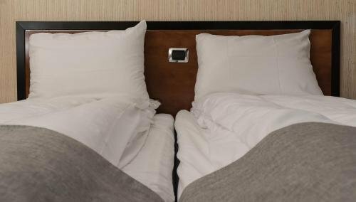 Гостиница Dølen Hotel в Эуст-Агдере