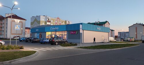 Supermarket Santa, Gomel District, photo