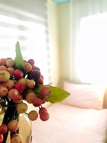 Фото Jeju Green Day Guesthouse