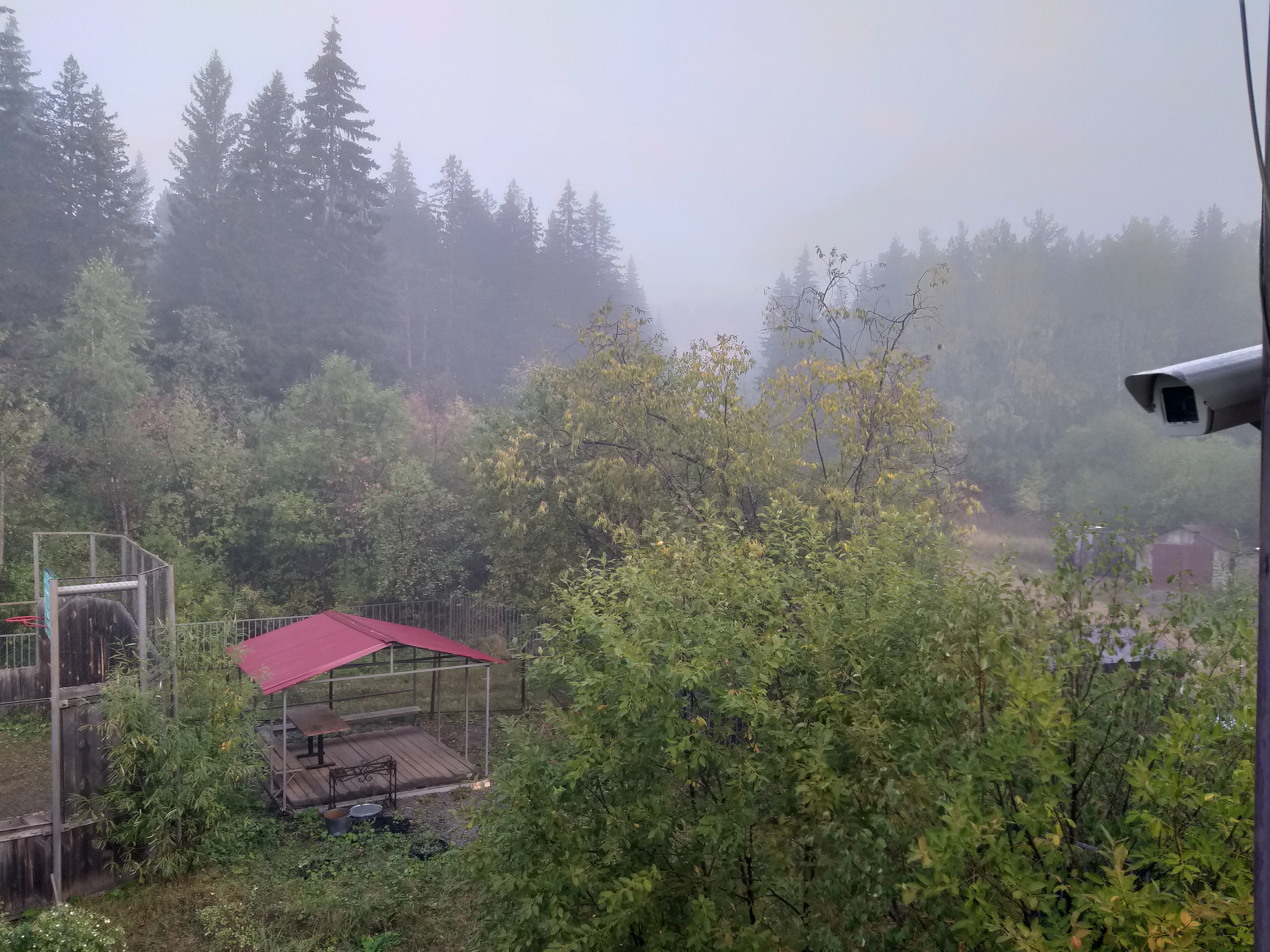 Фото Путешественник