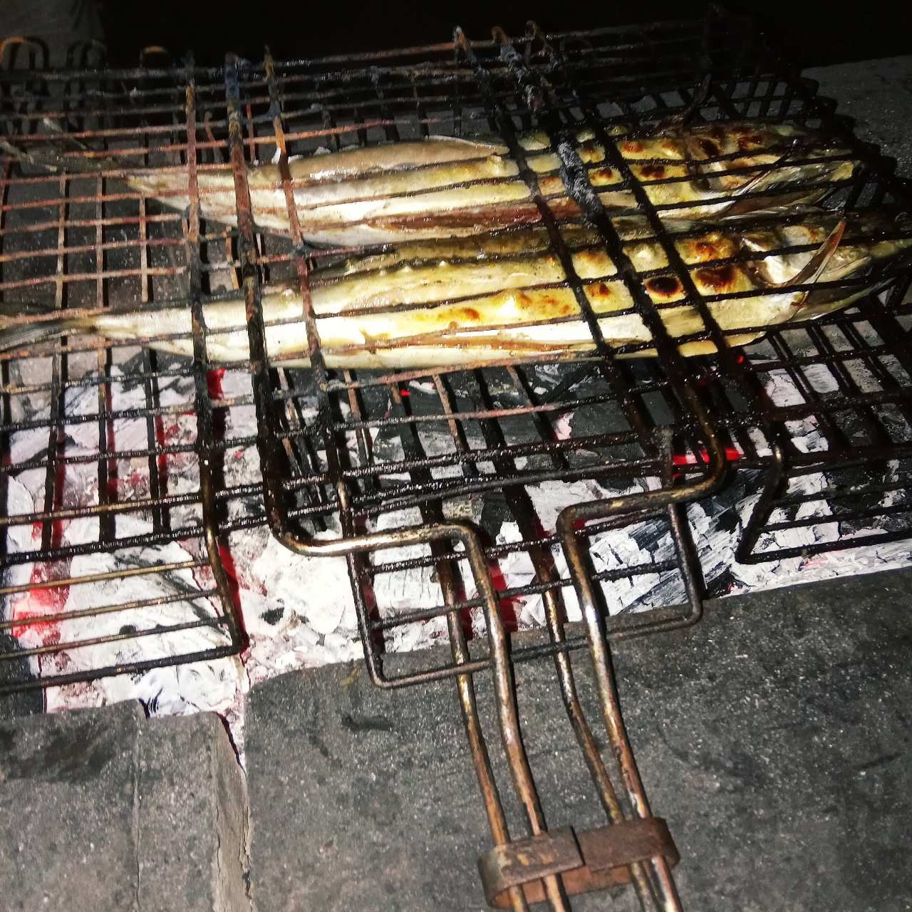 Фото Шафран