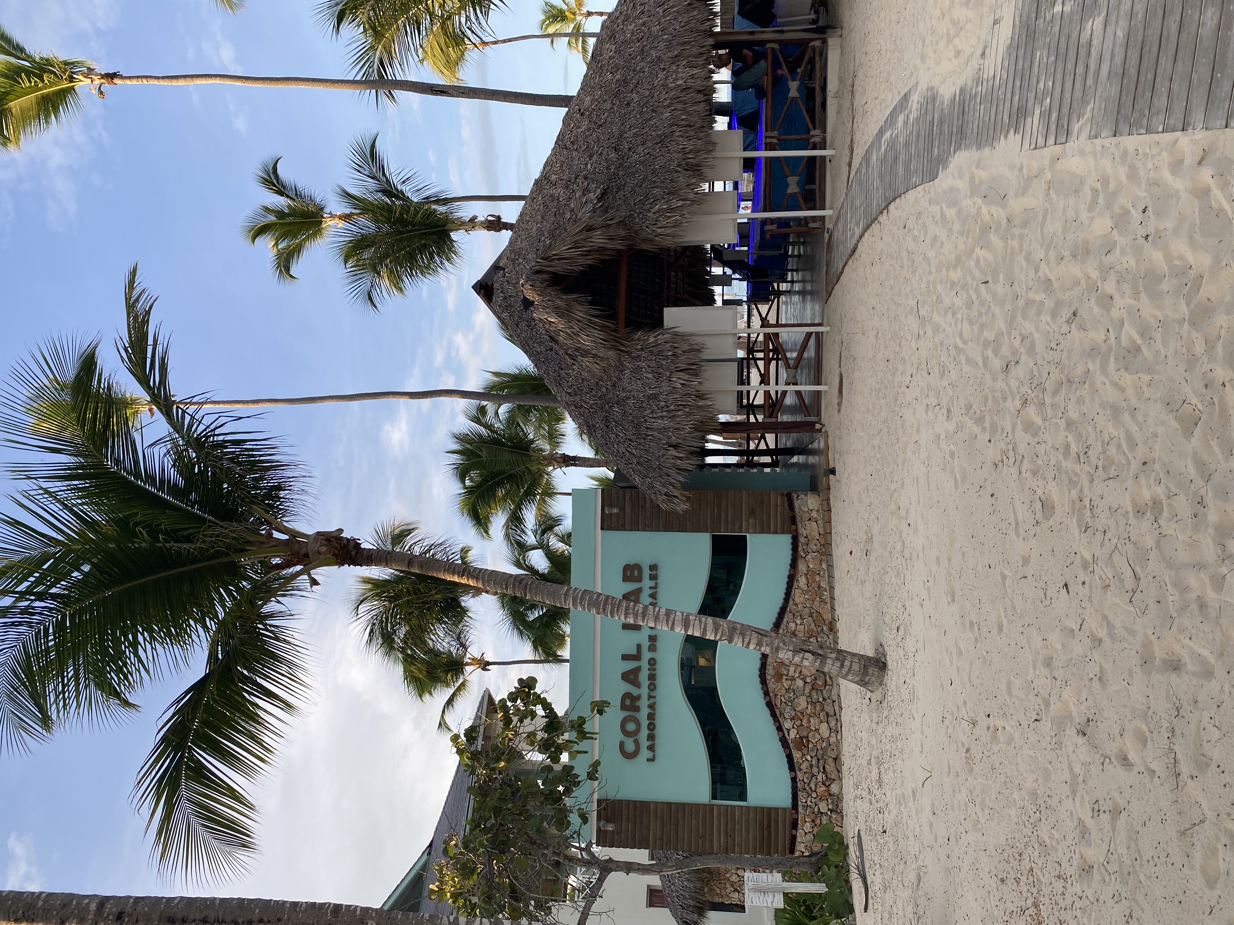 Фото Iberostar Selection Bavaro Suites