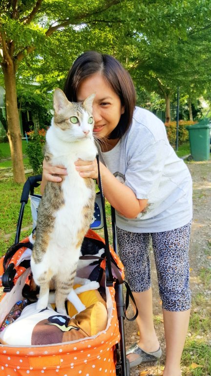 Фото Baan Saun Him Doi Resort