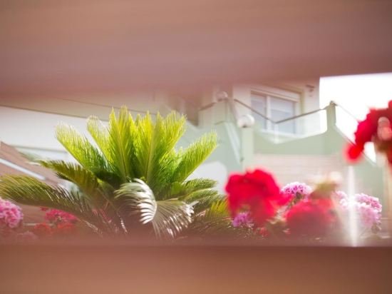 Фото Villa Dimokratia