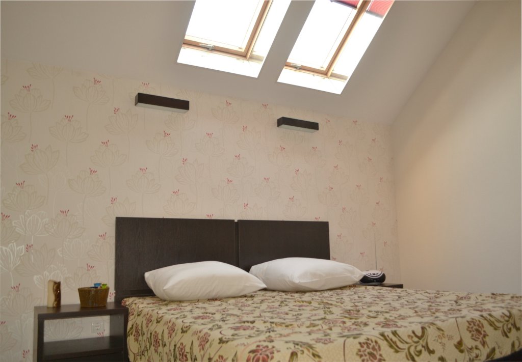 Фото Стрекоза