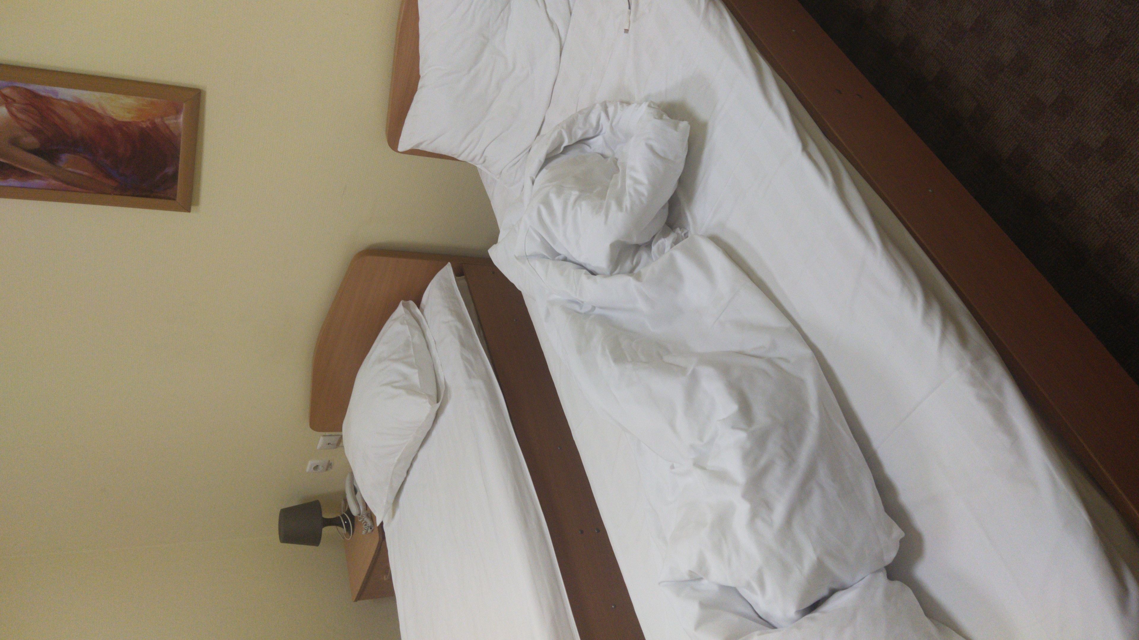 Фото Гостиница Фатеж