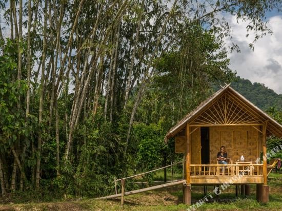 Фото Our Jungle Camp - Eco Resort