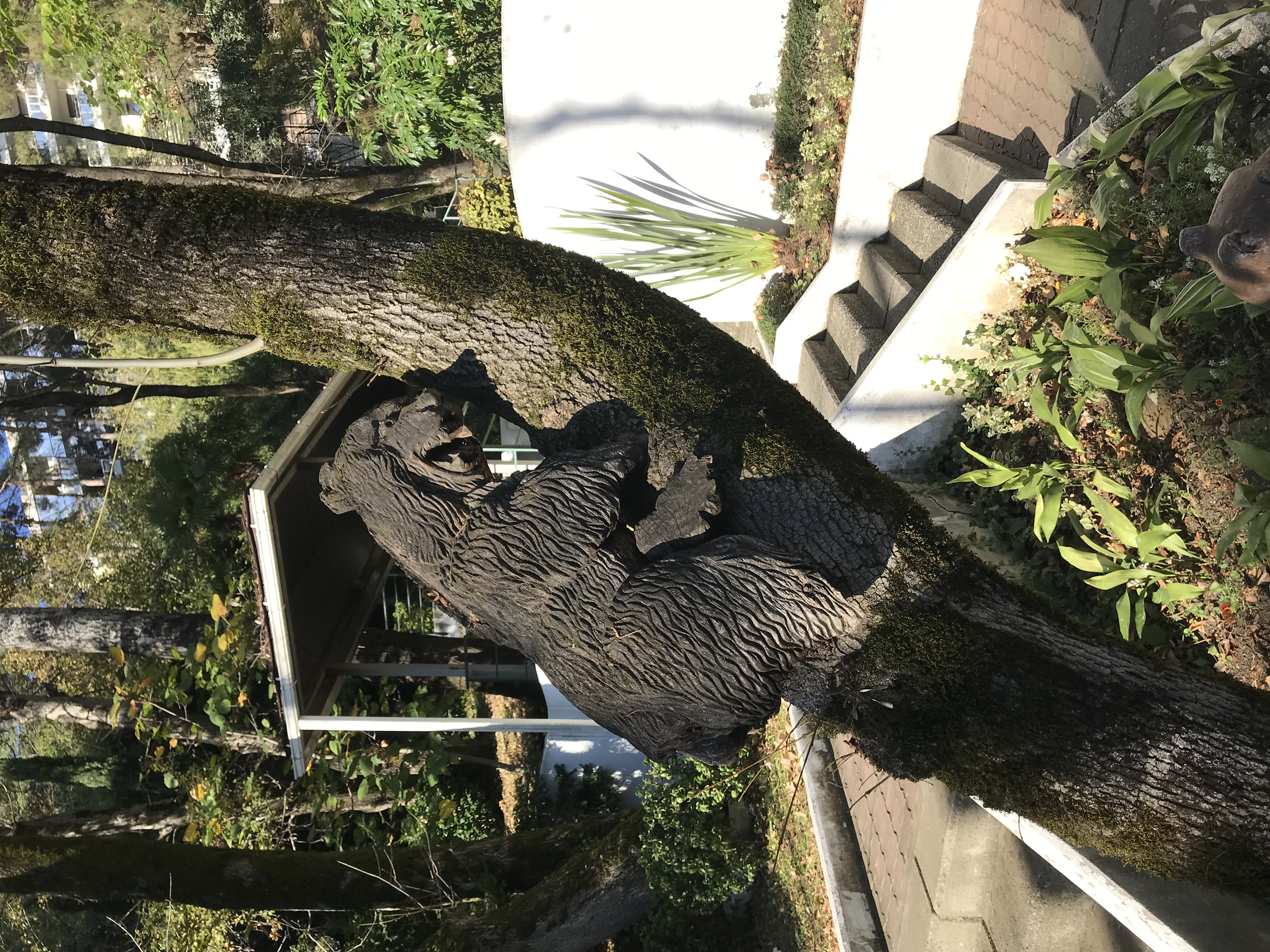 Фото Azimut Здоровье Мыс Видный