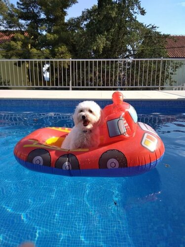 Гостиница Villa Karla в Сегете-Враньицах