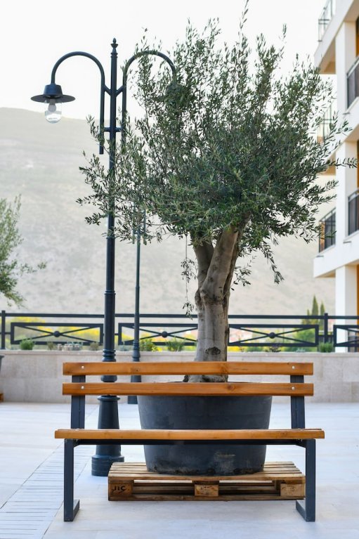 Фото Apart hotel MS Katunjanin