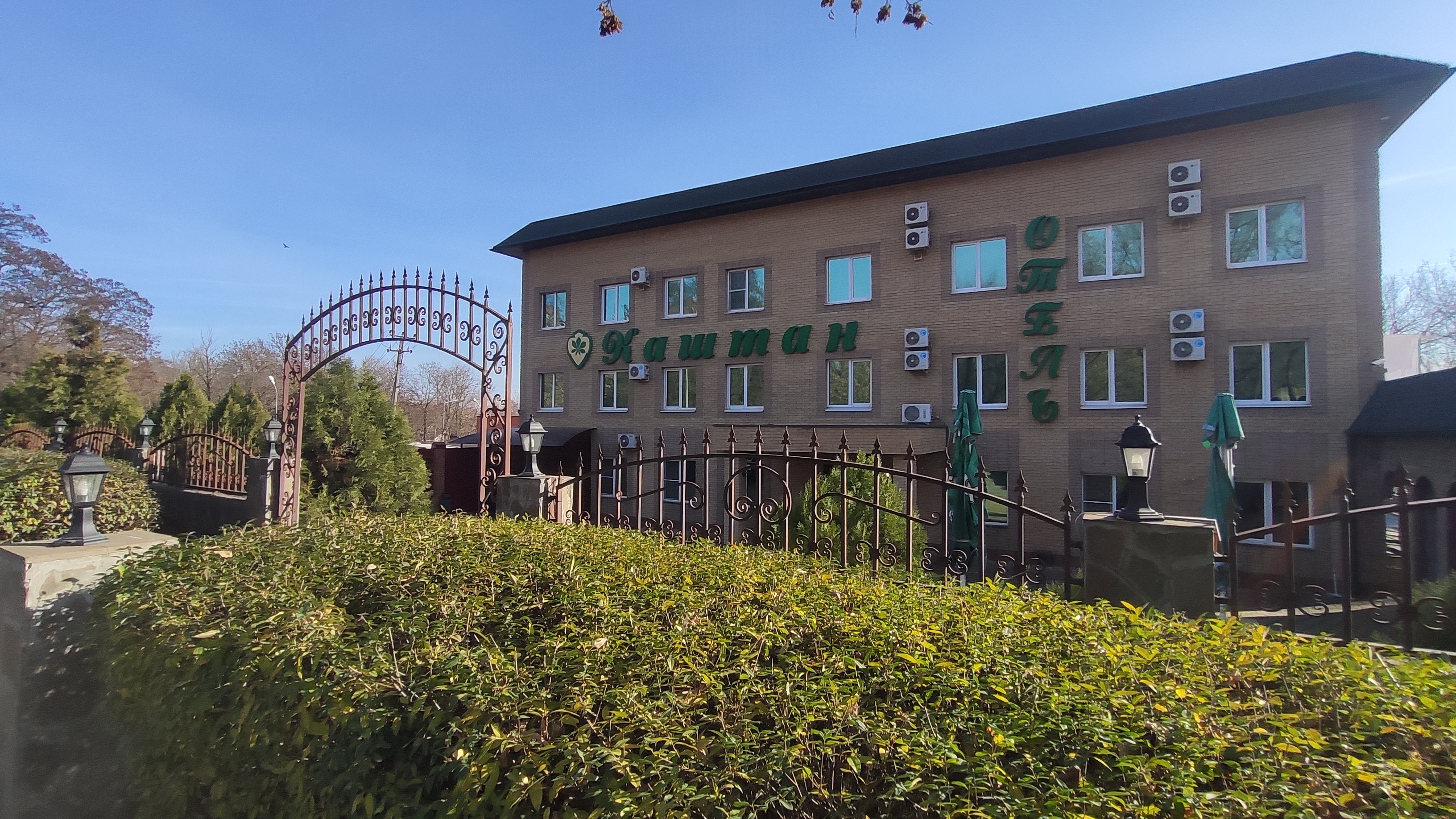 Фото Каштан