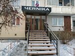 Чernika (mikrorayon Vzlyotka, Vesny Street, 17), beauty salon