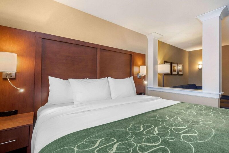 Гостиница Comfort Inn & Suites Schenectady - Scotia