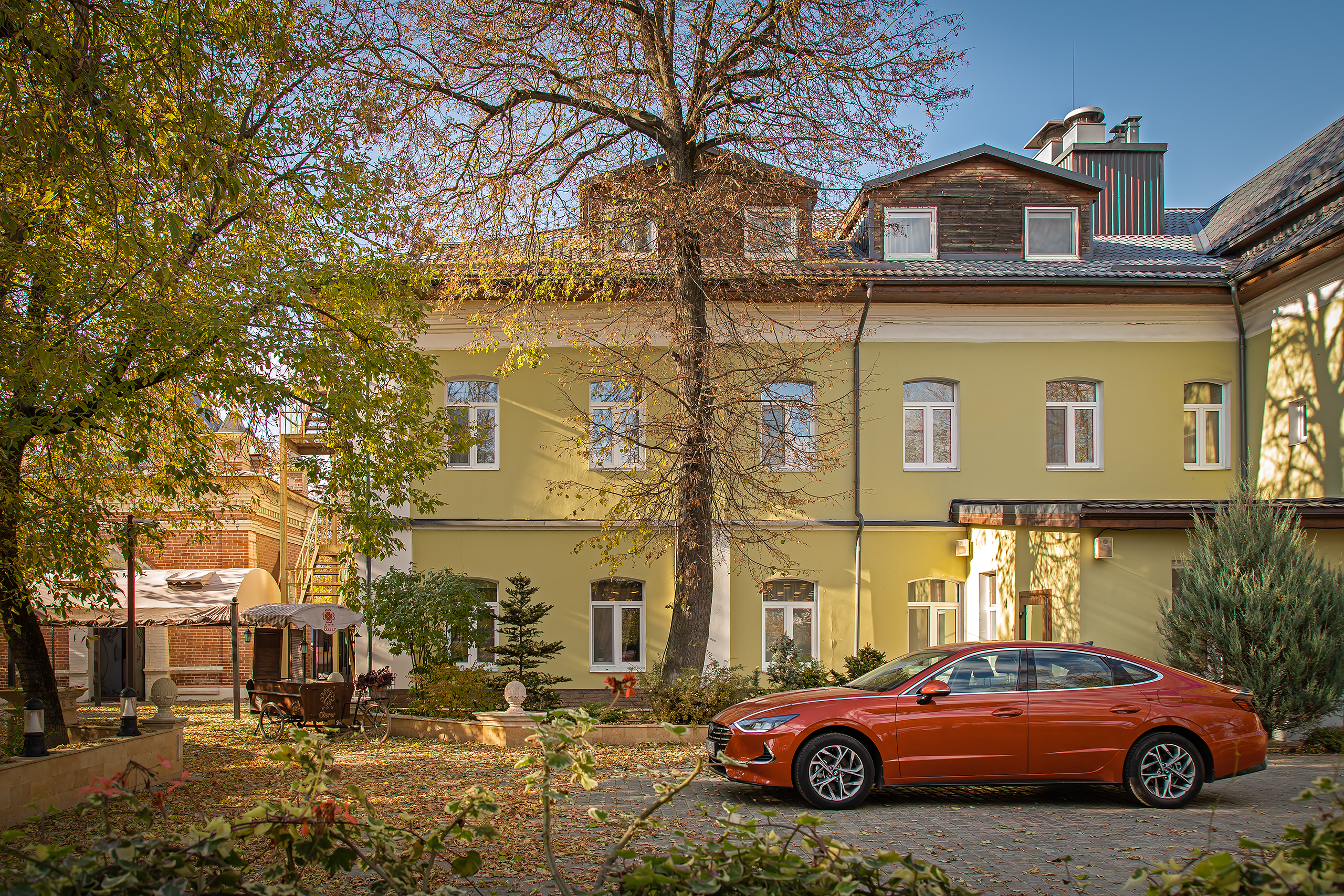 Фото Клевер