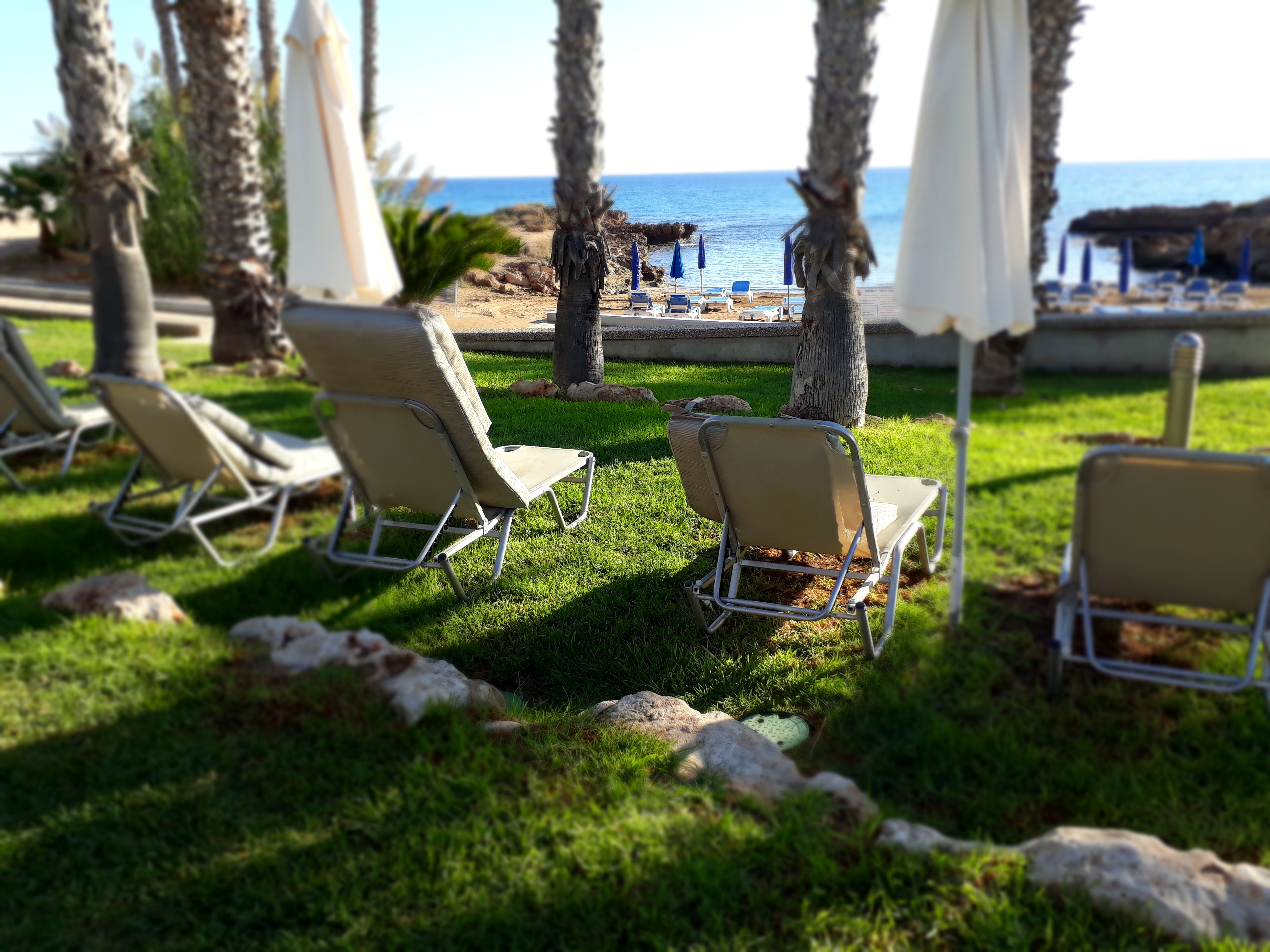 Фото Louis Althea Beach Hotel