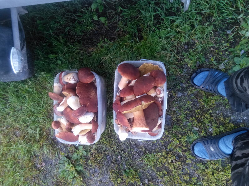 Усадьба Ждановых — фото 43