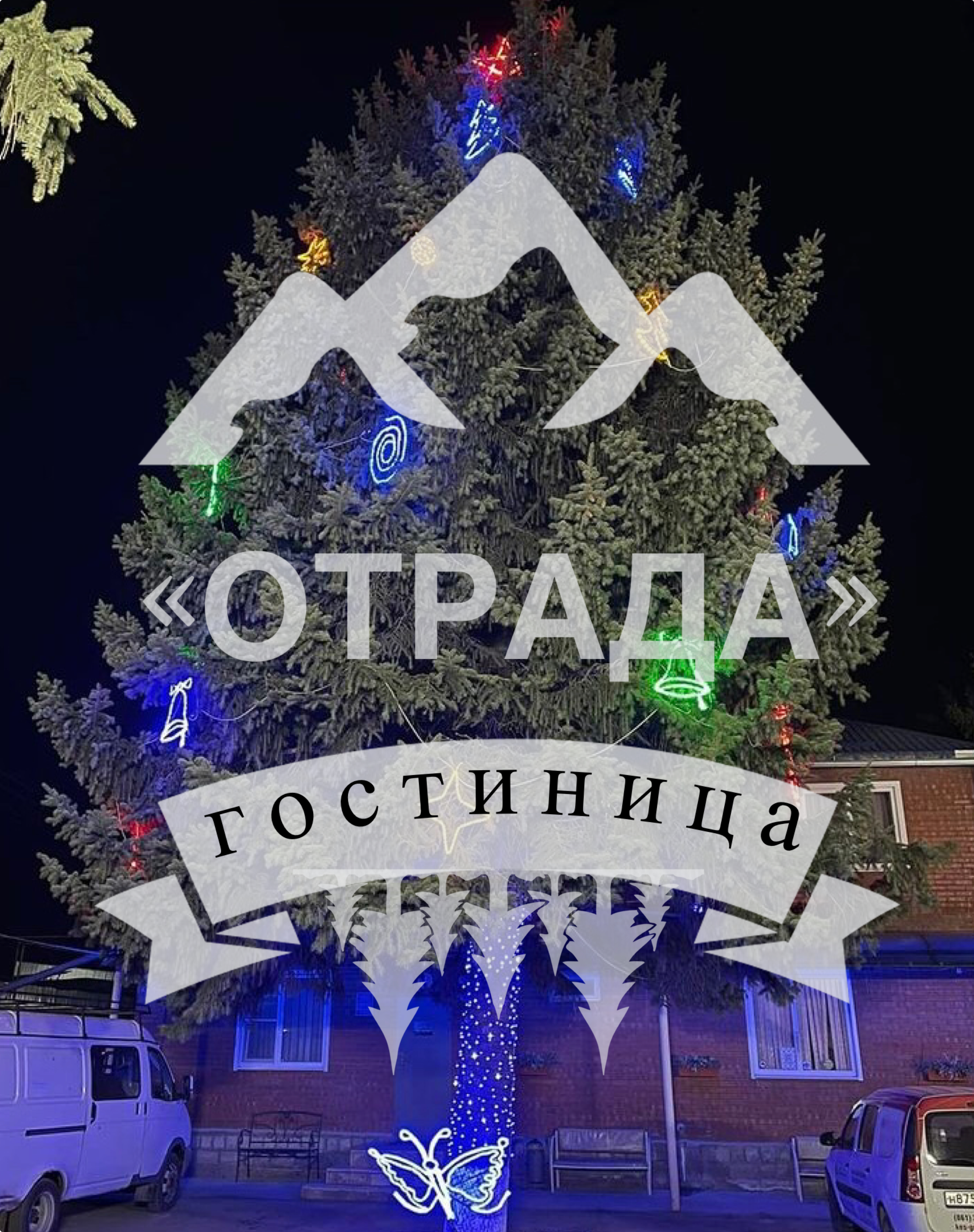 Фото Отрада