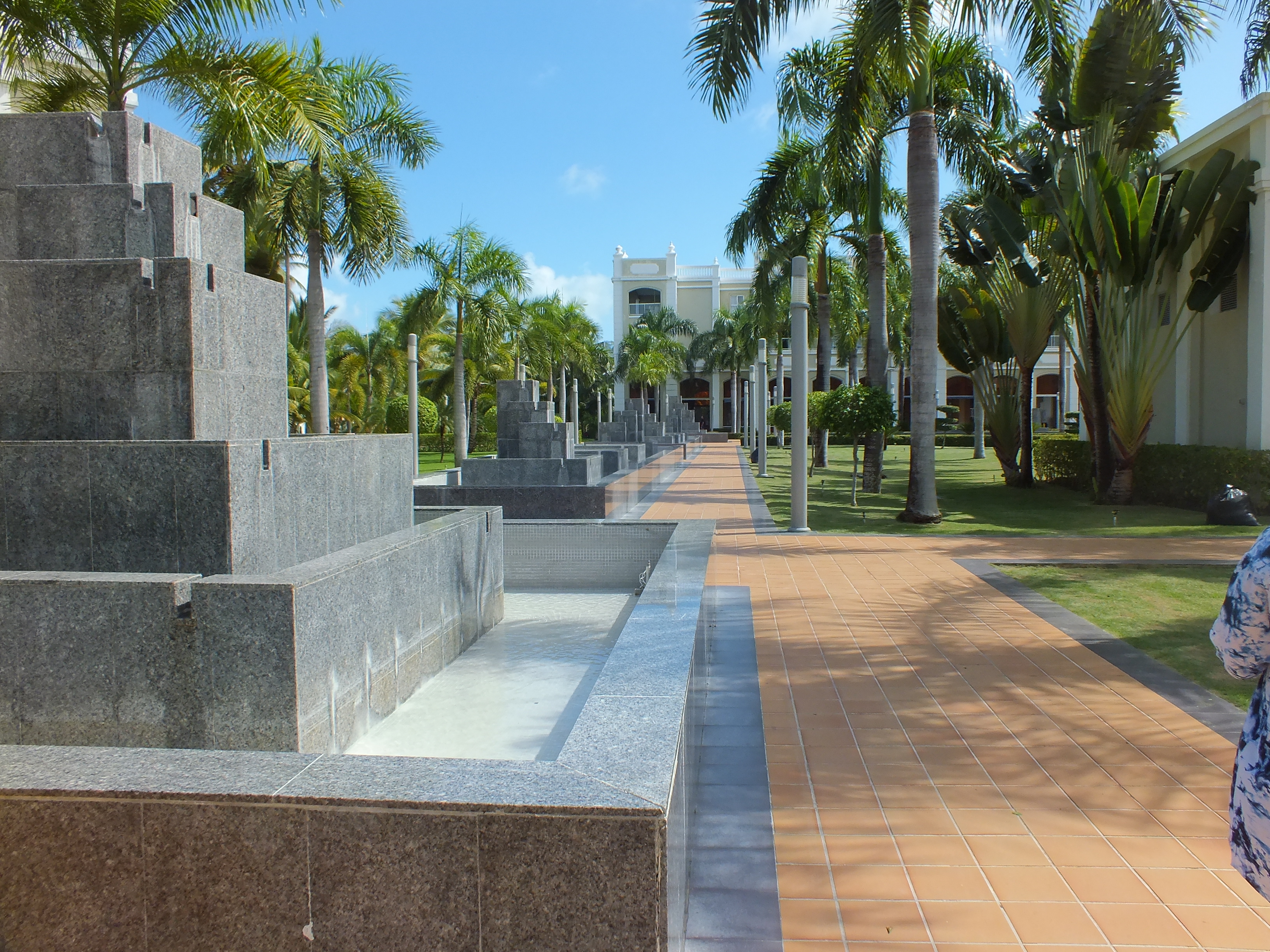 Фото Hotel Riu Palace Bavaro