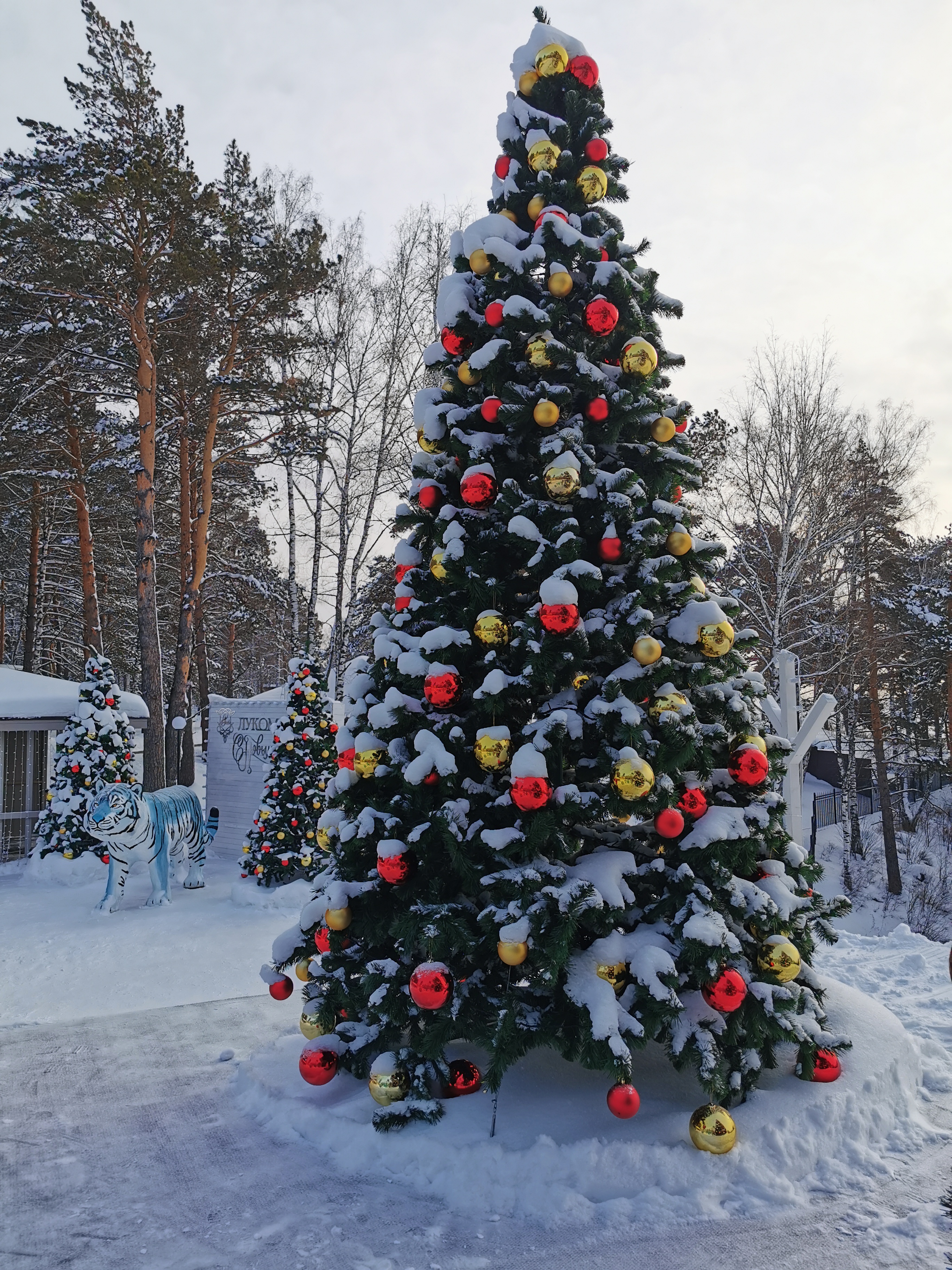 Фото Лукоморье