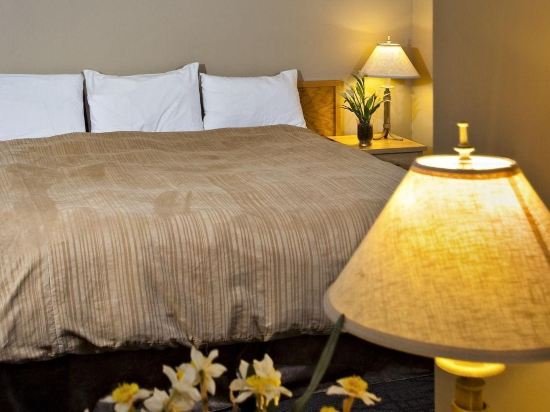 Фото Tunnel Mountain Resort